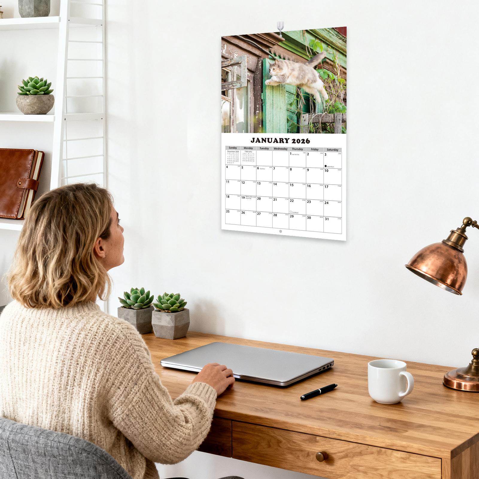 2026 Cat English Wall Calendar - English Home Office 评论和价格